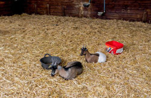 10 Bed in Barsham oc-rrest - Photo 39