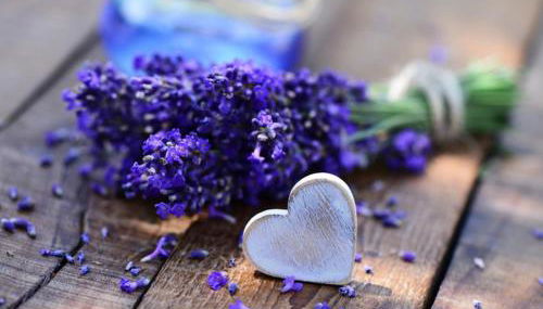 thym & Romarin - Photo 4