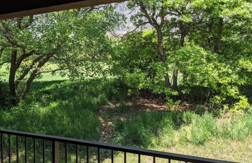 Tamarron Gambel Oak 777 - Foto 25