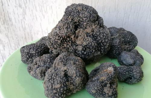 Casa Crevole - Foto 28