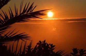 Casa Palmera - Photo 47