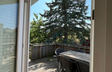 Ferienwohnungen Harzblick - Foto 74