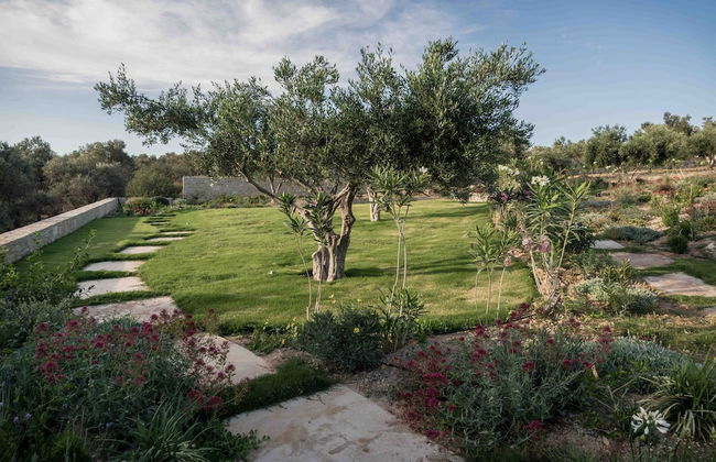 White Grace - Foto 10