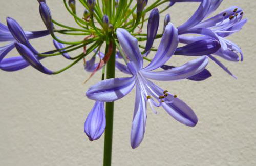 Casa René - Charming apartments - Foto 160