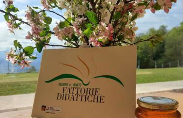 La casa di Maia - Alloggio Agrituristico - Foto 32