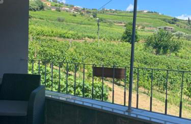 Casa da Ruela no Rodo - Photo 12