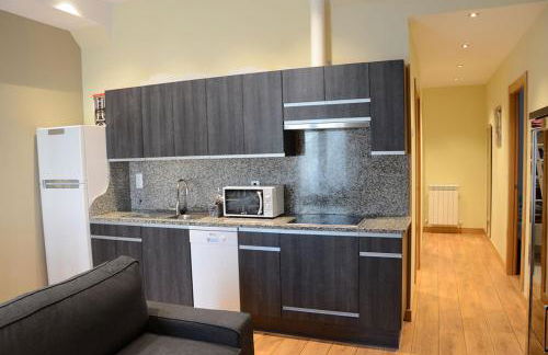 Apartamentos Elizondo - Foto 11