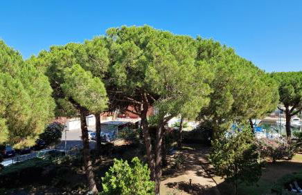 Studio cabine climatisé et loggia au calme avec linge et parking inclus - Foto 19