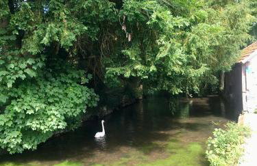 Gite de Mauxe - Foto 23