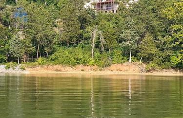 Exclusive Lakefront Retreat on Douglas Lake - Photo 3