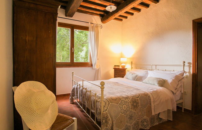 Boschi di Montecalvi - Foto 33