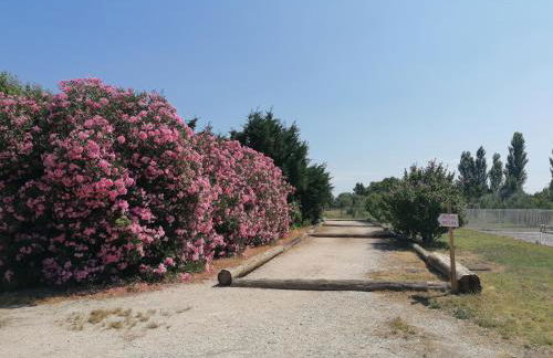 Les Gîtes du Mas Canillac - Foto 11