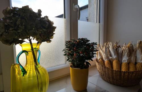 Gîte historique et moderne, capacité flexible - FR-1-585-170 - Foto 14