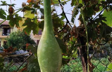 Magdalini Studio - Foto 8