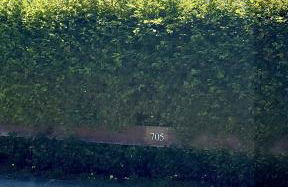 Ferienwohnung WaldGlück mit Pool & Sauna - Foto 33