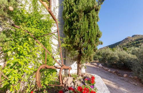 Casa Rural La Ermita - Foto 4