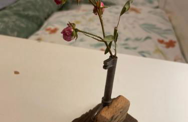 Zimmer Emmer, ein Zimmer in FeWo mit zwei Zimmern - Foto 29