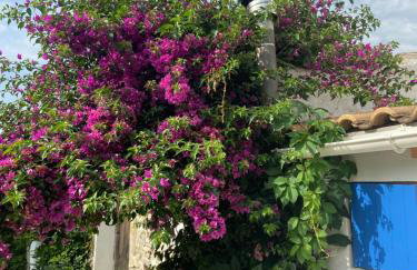 Lulani Hideaway - Foto 8