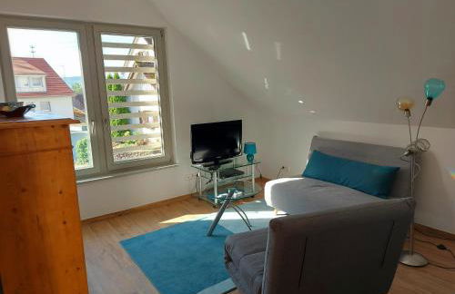 Ruhige 2-Zimmer Ferienwohnung FeWo Bodensee - Foto 4