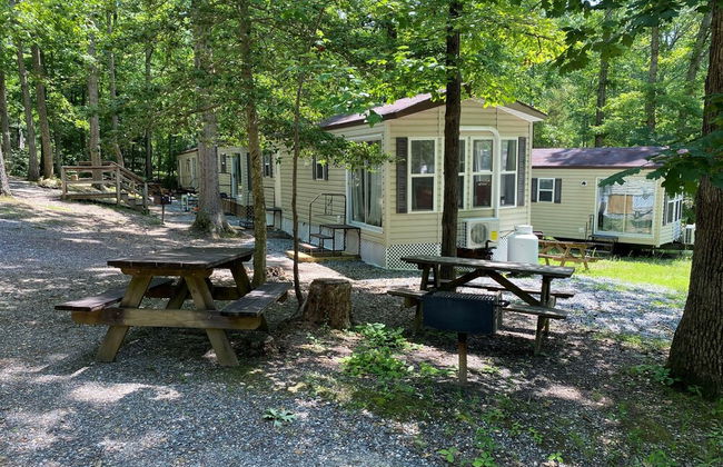 The Vintage Rv's at Wilderness Presidential by Tripforth - Foto 28