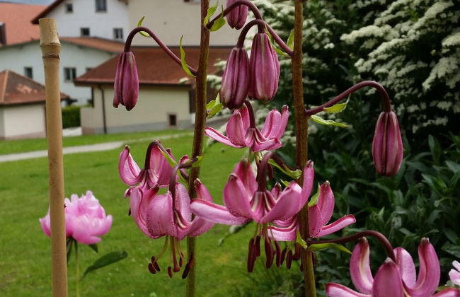 Appartement - Bellevue - Foto 5