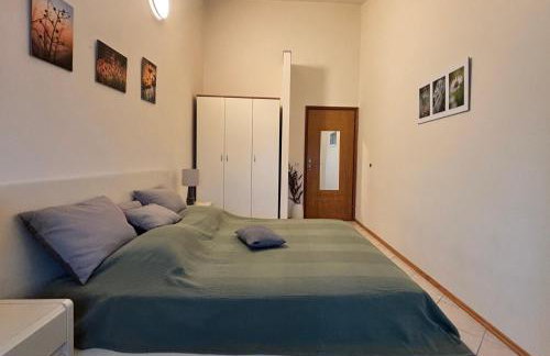 Apartmani Merica - Photo 59