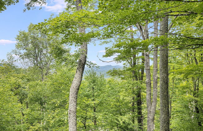 Ash Vale by Avantstay Spacious Deck w Views Ping Pong Table - Foto 37