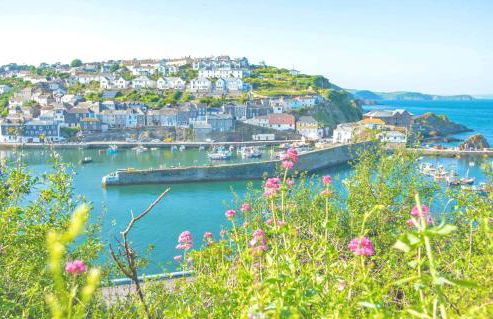 Idyllic Cornish Cottage, Superking bed, private garden dogs welcome - Photo 27