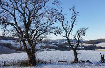 Broomhead Cottages - Foto 10