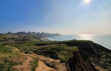 Le chou marin, charmante maison de plain-pied proche d'Audresselles & du Cap gris nez - Foto 15