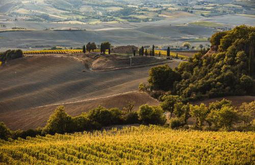 Sce Quiríc - Foto 38