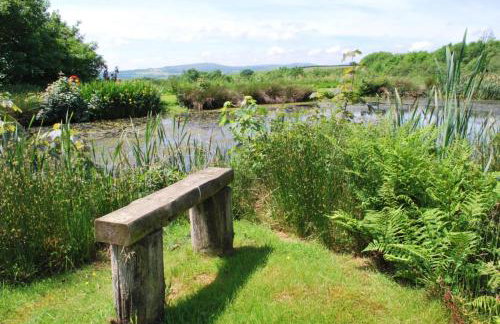 Lakeview Cottage - Photo 11