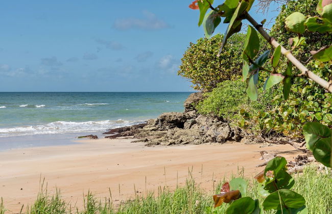 Eco Park Inn - Foto 36