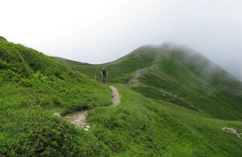 Residence Cimone SuperSci Polle-life - Foto 18