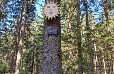 Himmelsleiter - Foto 32