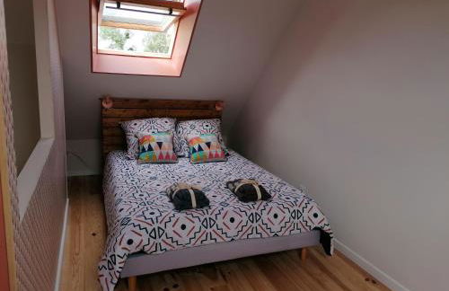 Le biez de la Fresnais - Foto 12