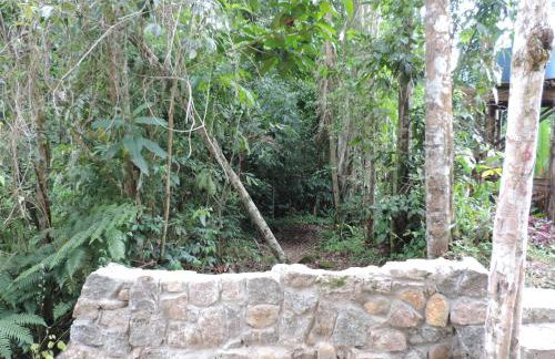Casa Orquídeas Ubatuba Praia da Lagoinha - Foto 58