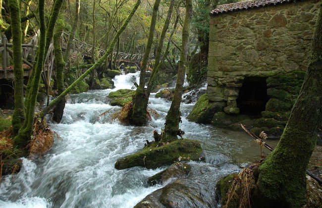 Os Migueliños - Foto 21