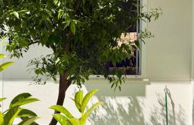 Duci Mondello Guesthouse - Foto 8