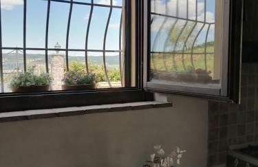 Predio Potantino - Foto 49