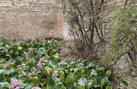 Les horizons de Jules - Foto 33