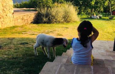 La Collina Degli Ulivi - Foto 44