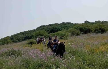 Casa Sofia - Foto 32