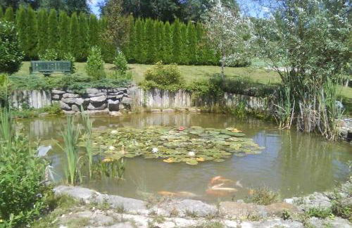 Maison/Gîte familial dans le Jura à 200m du lac avec piscine privée - Foto 25