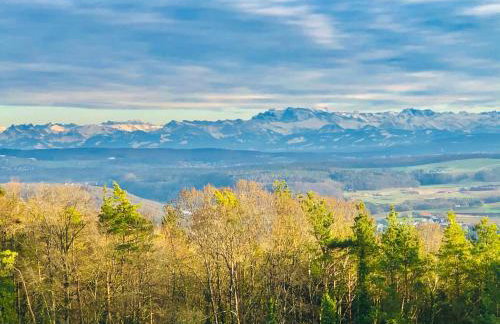 Haus Zeller - Photo 11