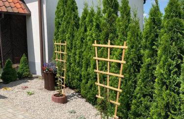 Mazurski dom Brejdyny Sauna i Bania - Foto 43