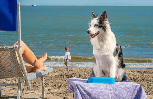 3 Bedroom Nice Home In Albarella Ro - Foto 35