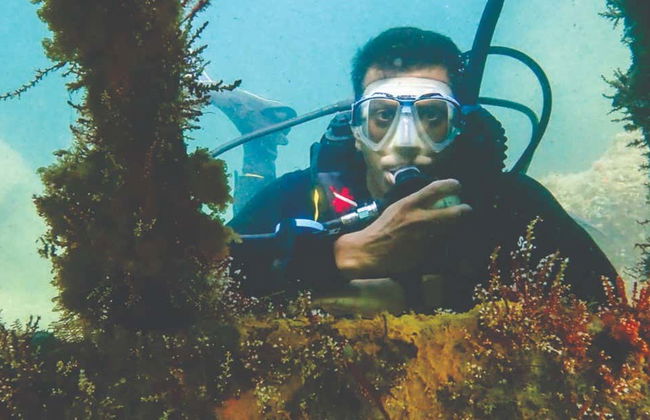 Diving at Ilhabela Shipwrecks - Photo 9