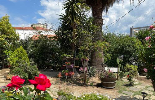 Λευκό γιασεμί - Νέες Παγασές Βόλος - Photo 16