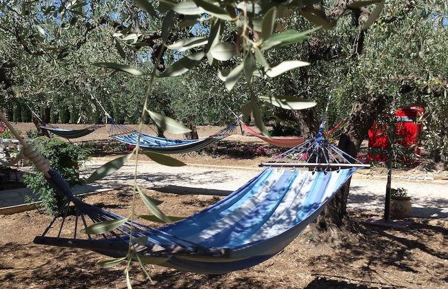 Agrisicilia - Foto 22